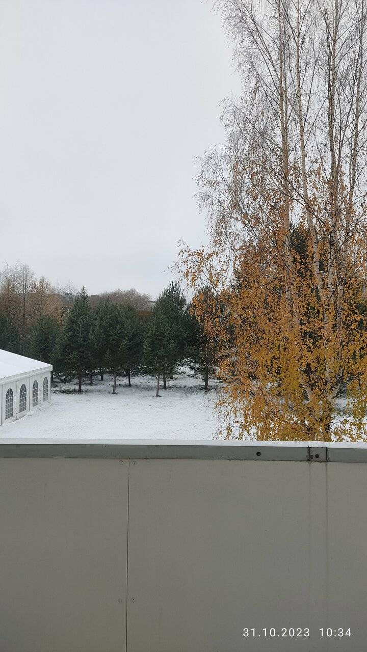 Фото Гостиницы Николаевский Вологда 241