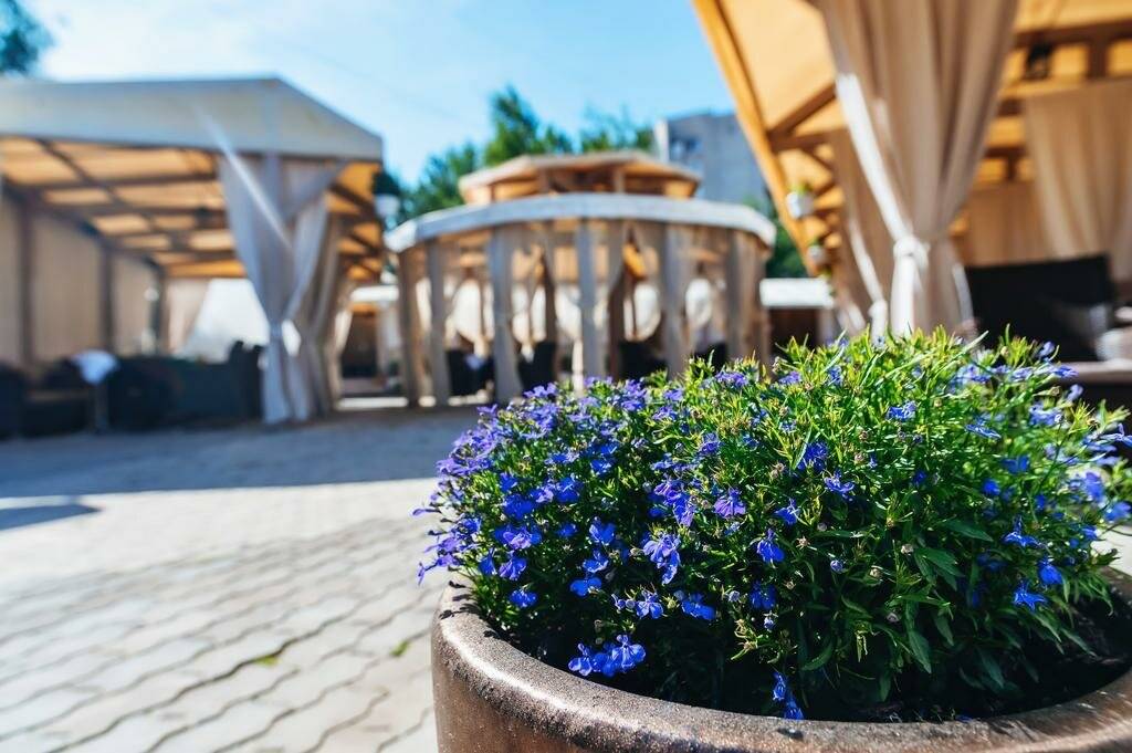 Фото Гостиницы Николаевский Вологда 12